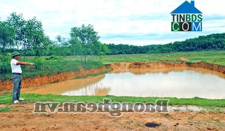 Hình ảnh Thuần Trung, Nghệ An