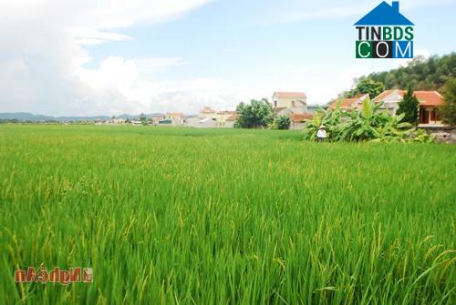 Hình ảnh Quỳnh Lưu, Nghệ An