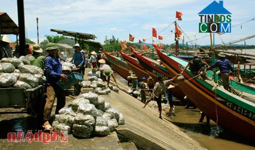 Hình ảnh Quỳnh Mai, Nghệ An