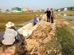 Hình ảnh Quỳnh Văn, Nghệ An