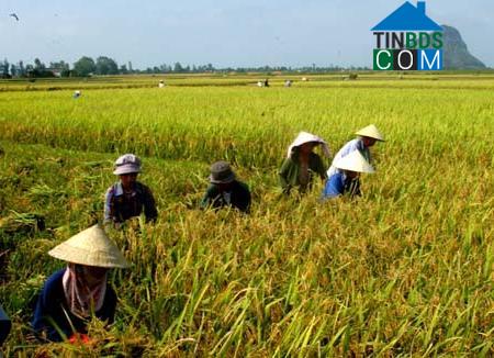 Hình ảnh Tân Châu, Nghệ An