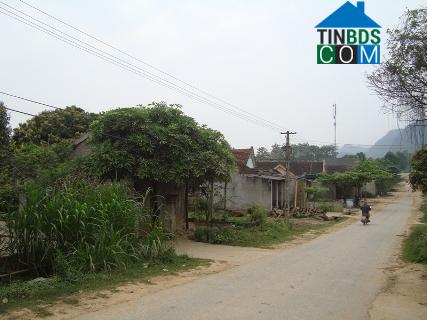 Hình ảnh Thành Bình Thọ, Nghệ An