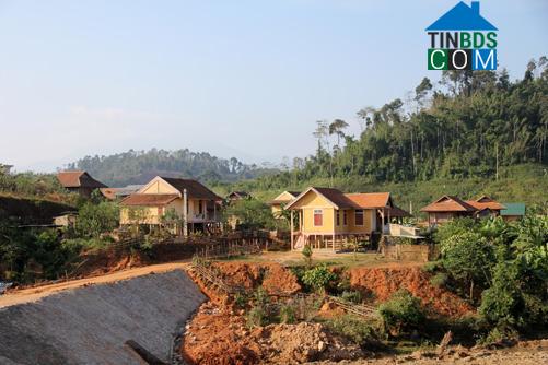 Hình ảnh Thông Thụ, Nghệ An