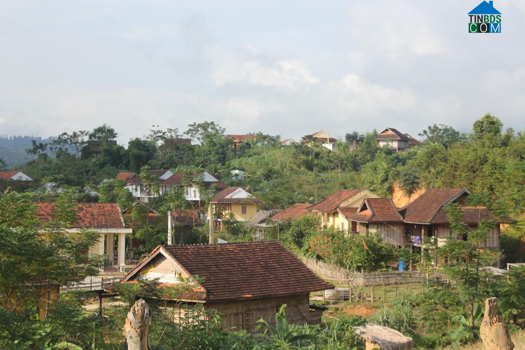 Hình ảnh Tiền Phong, Nghệ An