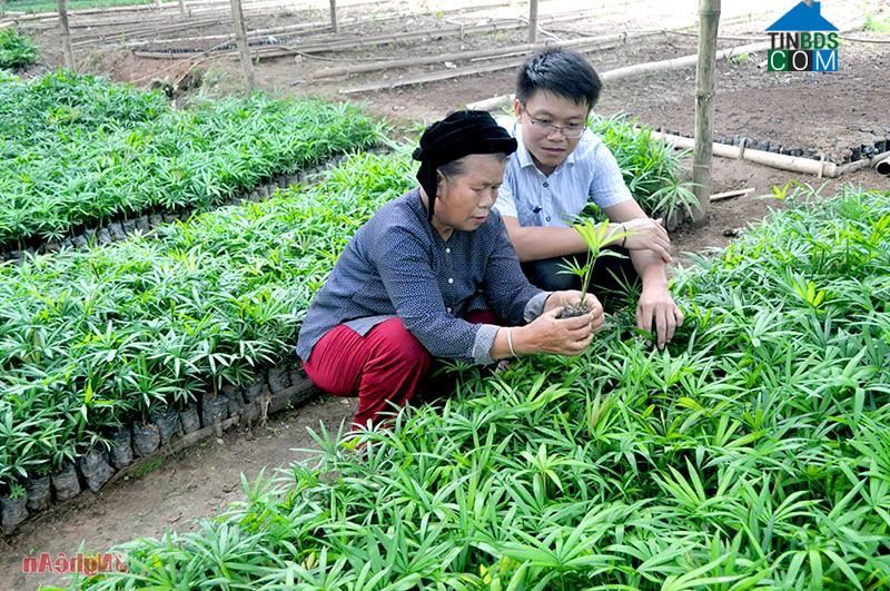 Hình ảnh Tam Thái, Nghệ An