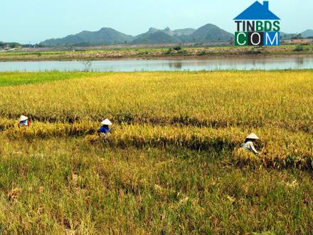 Hình ảnh Đại Hoàng, Ninh Bình