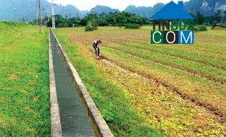 Hình ảnh Gia Trấn, Ninh Bình