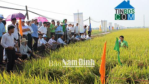 Hình ảnh Giao Bình, Ninh Bình