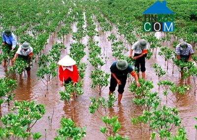 Hình ảnh Giao Hòa, Ninh Bình