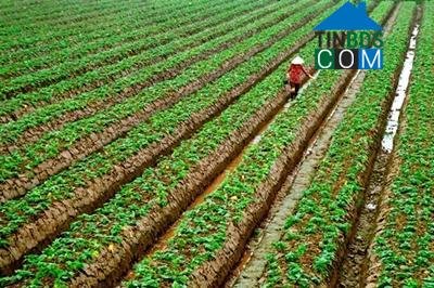 Hình ảnh Giao Minh, Ninh Bình