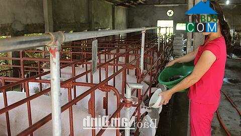 Hình ảnh Hồng Phong, Ninh Bình