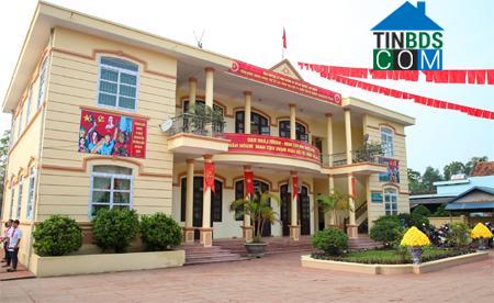 Hình ảnh Quỳnh Lưu, Ninh Bình