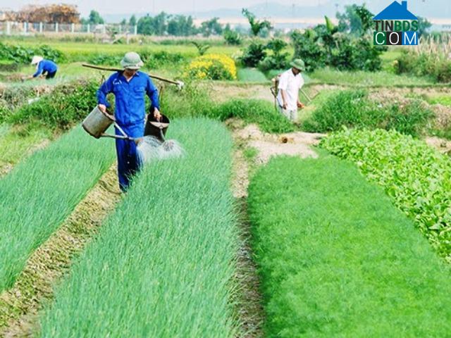Hình ảnh Nam Ninh, Ninh Bình