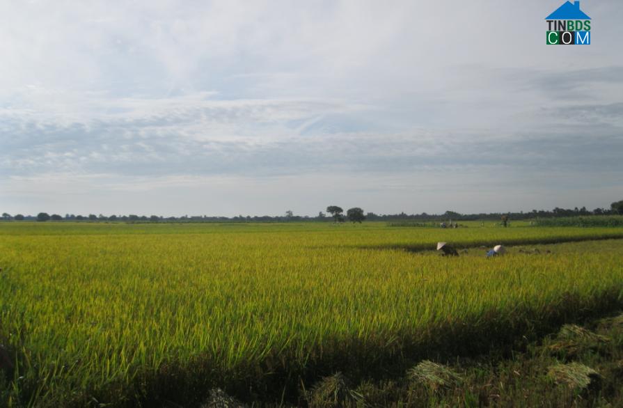 Hình ảnh Nam Xang, Ninh Bình