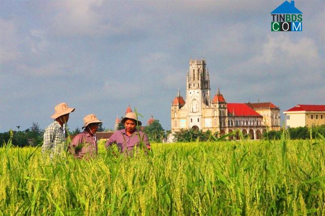 Hình ảnh Ninh Cường, Ninh Bình