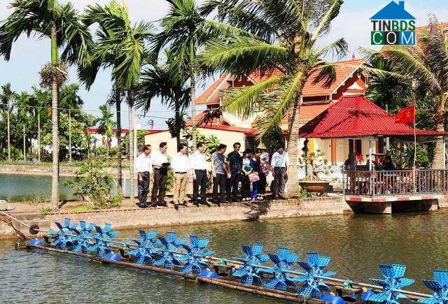 Hình ảnh Hải Thịnh, Ninh Bình