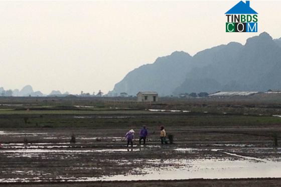 Hình ảnh Yên Sơn, Ninh Bình