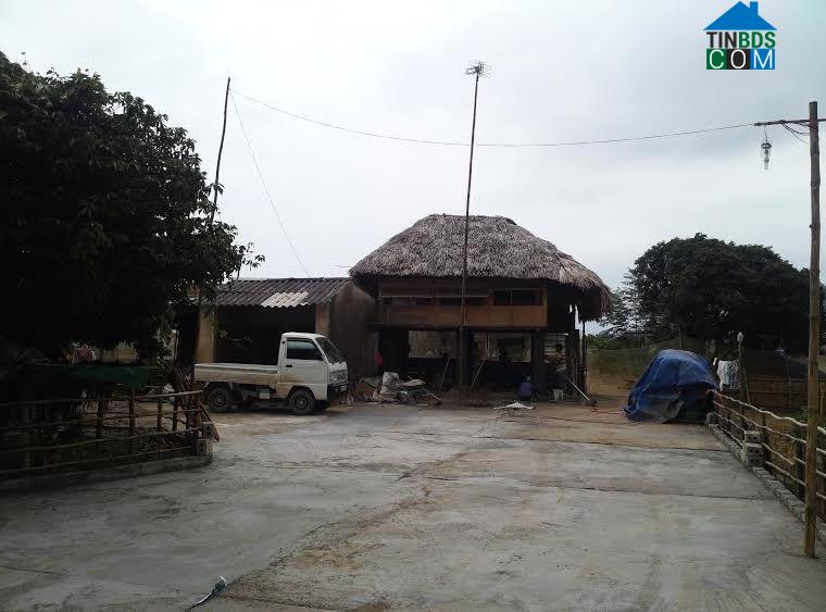 Hình ảnh An Nghĩa, Phú Thọ