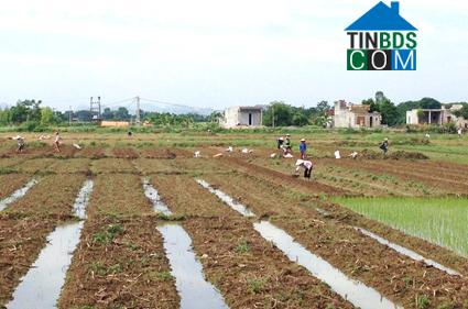 Hình ảnh Thanh Sơn, Ninh Bình
