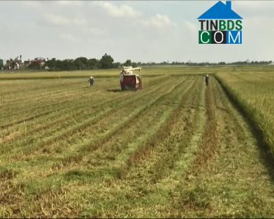 Hình ảnh Trường Thi, Ninh Bình