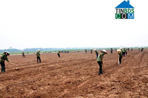 Hình ảnh Vĩnh Trụ, Ninh Bình