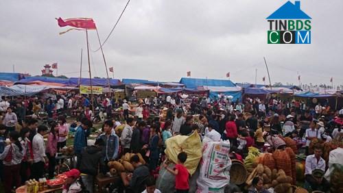 Hình ảnh Vụ Bản, Ninh Bình