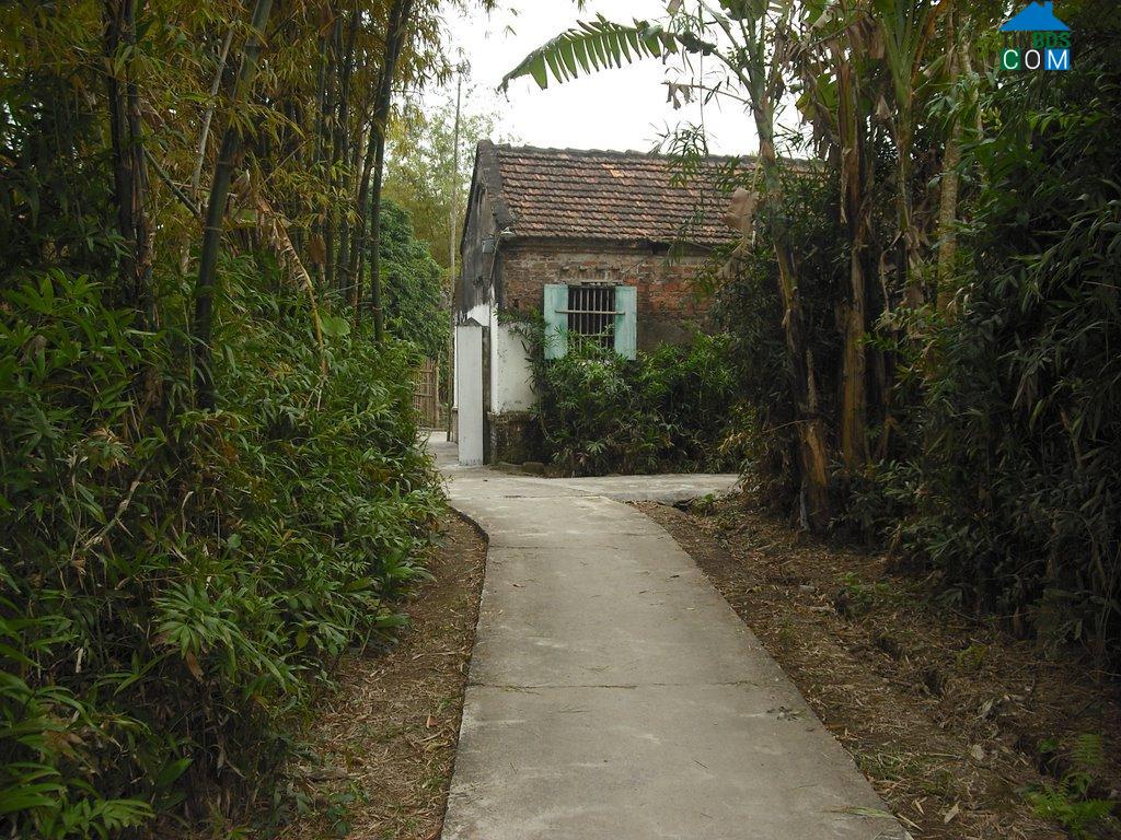 Hình ảnh Hải An, Ninh Bình