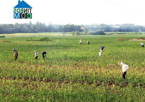 Hình ảnh Hoàng Cương, Phú Thọ