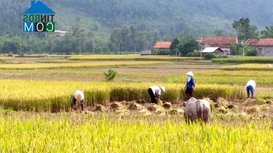 Hình ảnh Đạo Trù, Phú Thọ
