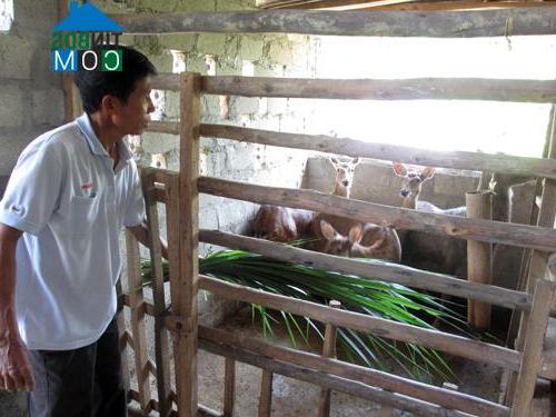 Hình ảnh Hạ Hòa, Phú Thọ