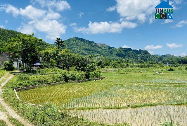 Hình ảnh Kỳ Sơn, Phú Thọ