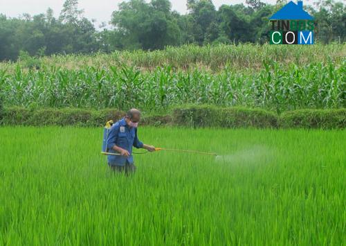 Hình ảnh Nật Sơn, Phú Thọ