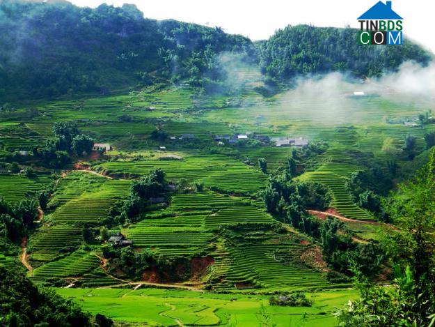 Hình ảnh Ngọc Sơn, Phú Thọ