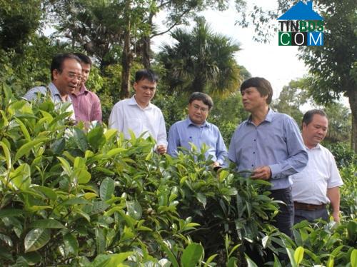 Hình ảnh Quy Đức, Phú Thọ