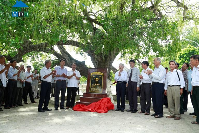 Hình ảnh Sơn Đông, Phú Thọ