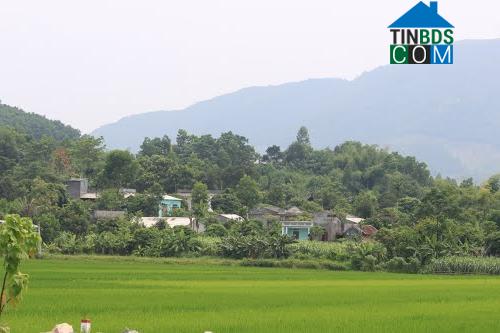 Hình ảnh Tân Hòa, Phú Thọ