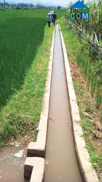 Hình ảnh Tân Lạc, Phú Thọ