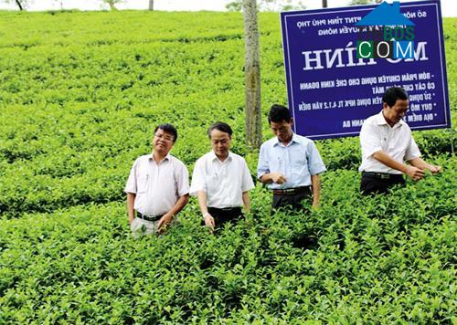 Hình ảnh Thanh Ba, Phú Thọ