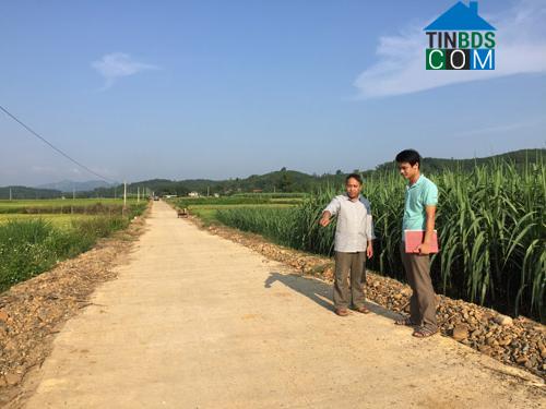 Hình ảnh Yên Phú, Phú Thọ