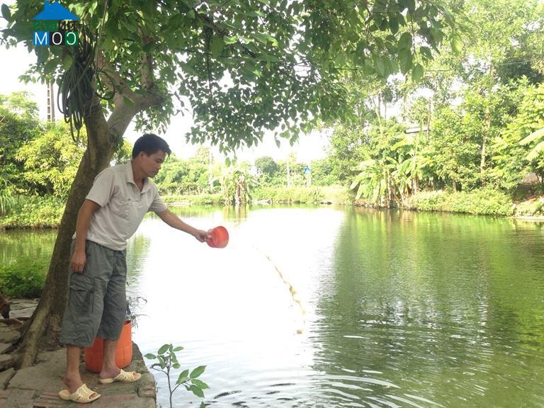 Hình ảnh Vĩnh Phúc, Phú Thọ