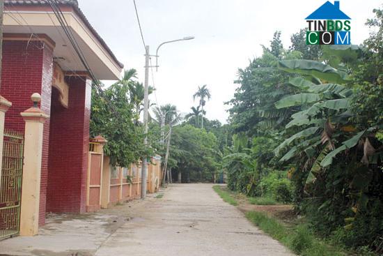 Hình ảnh An Phú, Quảng Ngãi