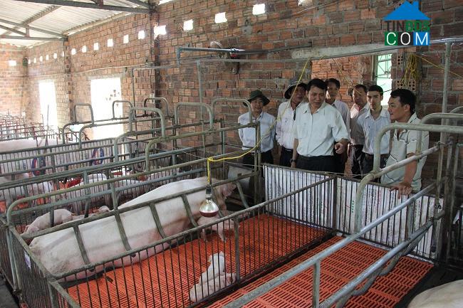 Hình ảnh Ba Động, Quảng Ngãi