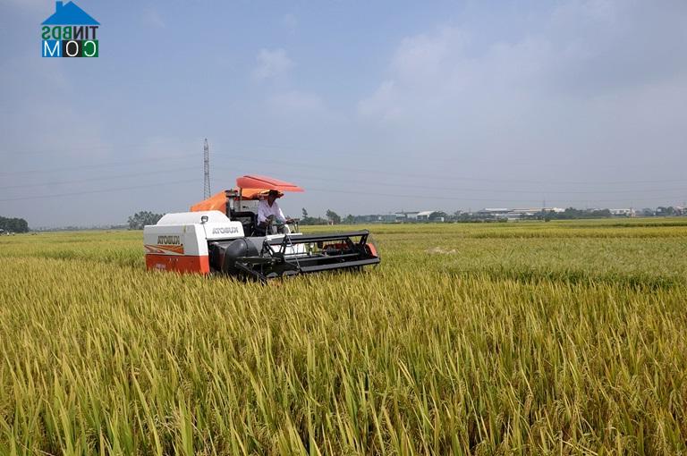 Hình ảnh Vĩnh An, Phú Thọ