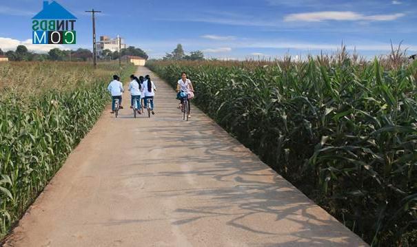 Hình ảnh Vĩnh Phú, Phú Thọ