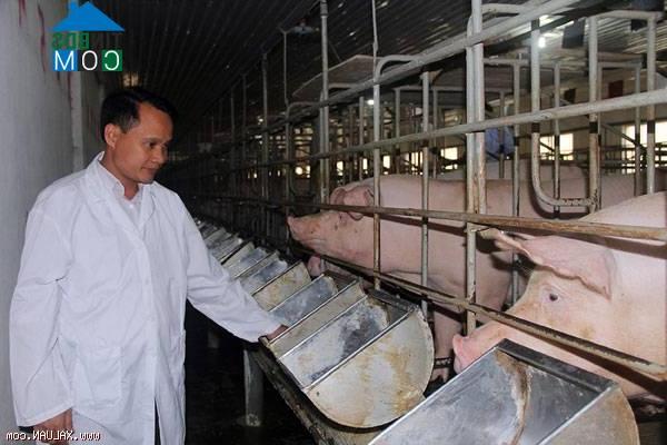 Hình ảnh Xuân Hòa, Phú Thọ