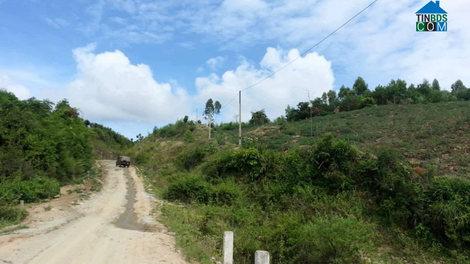 Hình ảnh Đặng Thùy Trâm, Quảng Ngãi