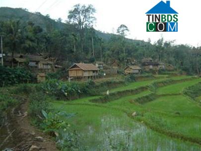 Hình ảnh Ba Tô, Quảng Ngãi