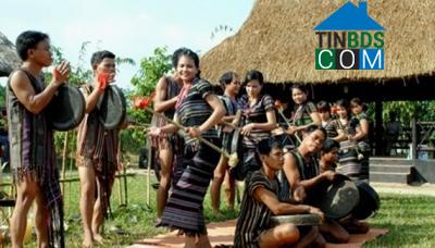 Hình ảnh Ba Vì, Quảng Ngãi