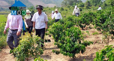 Hình ảnh Xốp, Quảng Ngãi