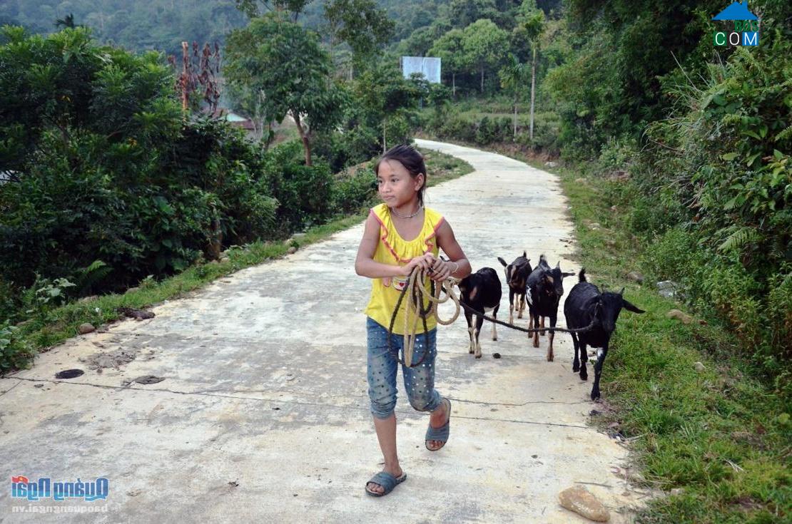 Hình ảnh Cà Đam, Quảng Ngãi